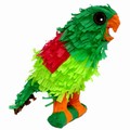 mini-parrot