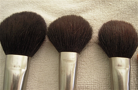 Dirty Blush Brushes