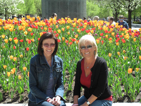Chicago Tulips Millennium Park