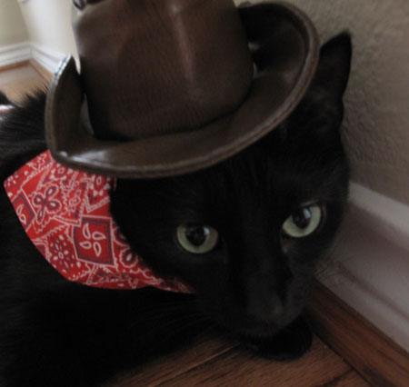 Gaby Halloween Cowboy Costume Cats in Hats