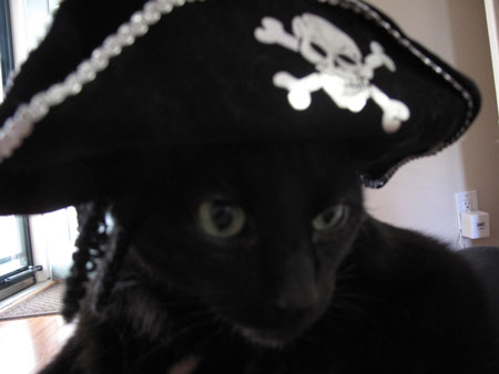 Gaby Halloween Pirate Costume Cats in Hats