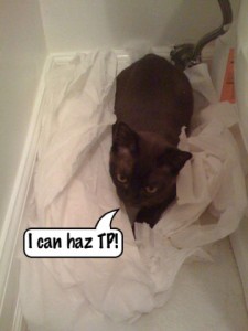 I can haz TP