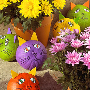 Painted Kitten Pumpkins