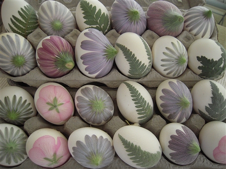 Natural Dye Colored Easter Eggs